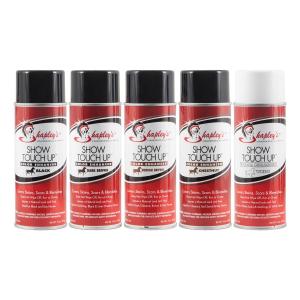 Shapley's Touch Up Spray