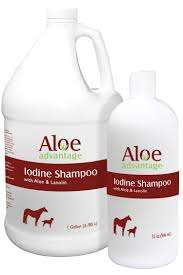 Aloe Advantage Iodine Shampoo