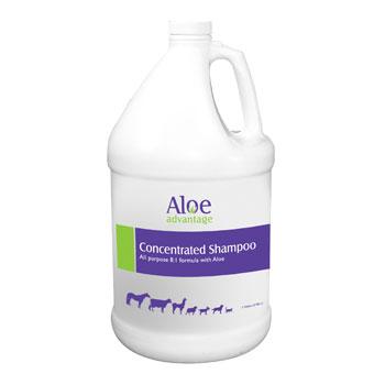 Aloe Advantage Shampoo