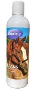 DappleUp Shampoo