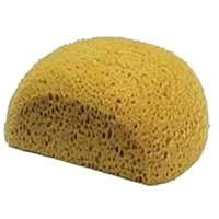 Half Moon Body Sponge