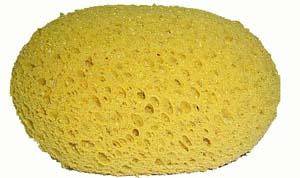 Tack Sponge - Large