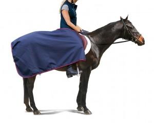 600D Centaur  Water Proof Breathable Exercise Sheet