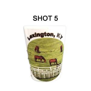 Shot Glass