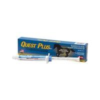 Quest Plus