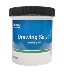 Drawing Salve