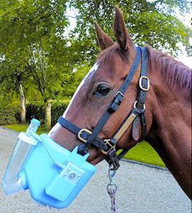 Flexineb 2 Portable Equine Nebulizer