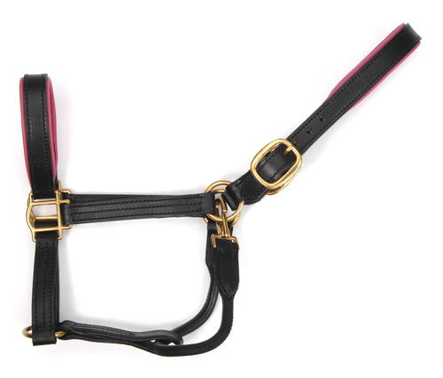 Leather shop horse halter