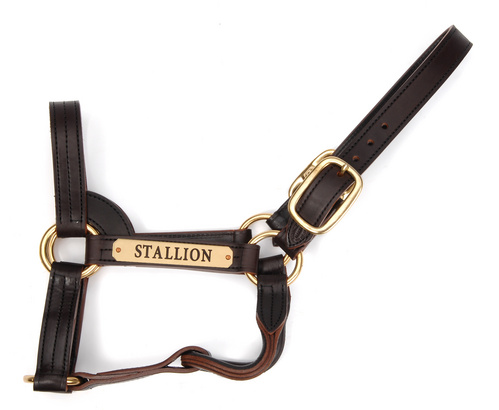 Triple-Stitched Leather Stallion Halter