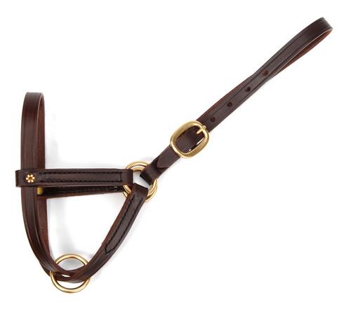 Figure 8 Foal Halter