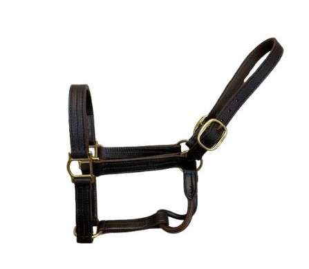 Track Halter