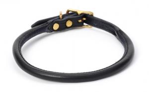 Solid Rolled Leather Dog Collar