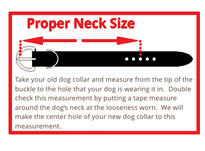 Please note: Custom Dog Collars are made to order, please allow 7-14 business days for processing time. 
