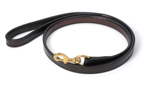 Louie - Engraved Leather Dog Collar