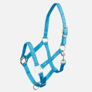 Horze Tucker Pony Halter