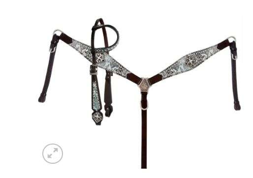 PAINTED SNAKE- H/S & B/C SET- HORSE SIZE