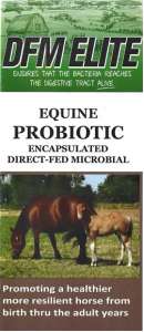 DFM Elite Probiotic