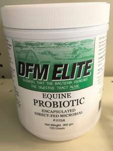 DFM Elite Probiotic