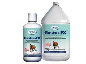 Omega Alpha GastraFX
