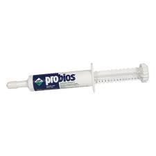 Probios Syringe