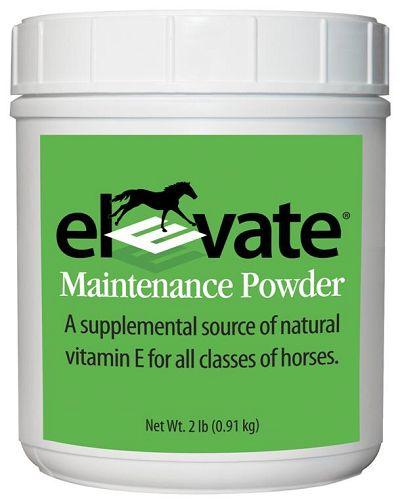 Elevate E Maintenance Powder