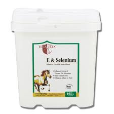 Vitamin E and Selenium