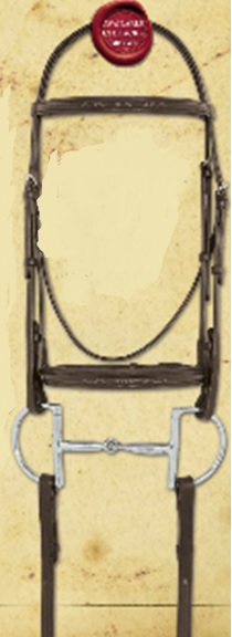 Bridle- Fancy Raised with Reins