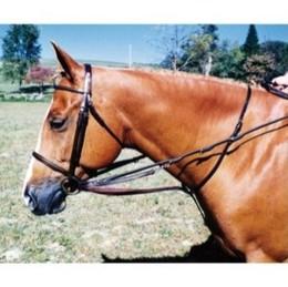 German Martingale