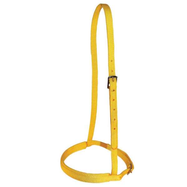 Nylon Noseband